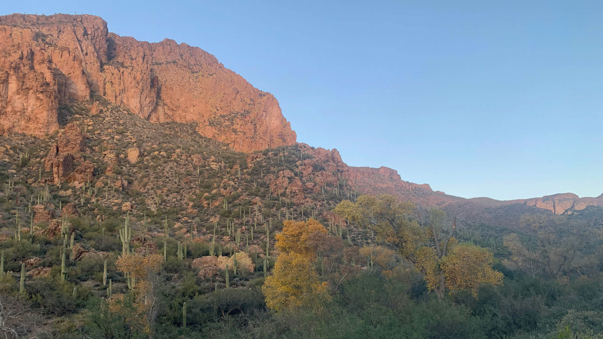 Hike Charlebois Spring Loop for an oasis and mining relics - WildPathsAZ