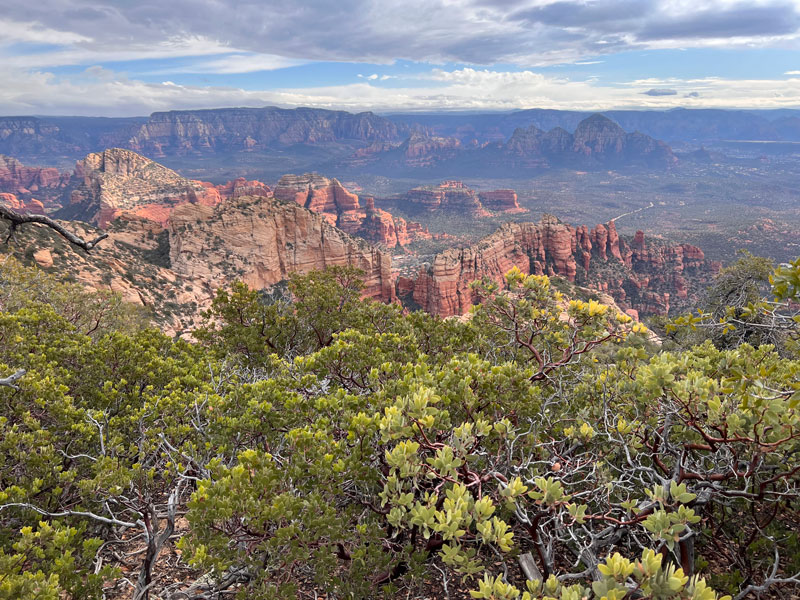 View of Red Rock Secret Mountain Wilderness from Bear Mountain