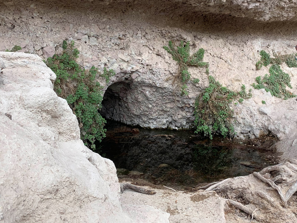 Hackberry Spring in the Superstition Wilderness