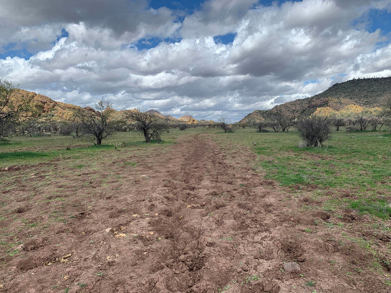 Garden Valley along Second Water Trail