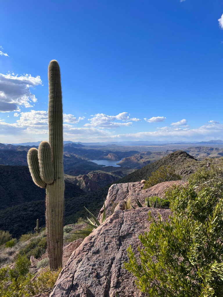 View of Canyon Lake from the trail to Malapais Mountain