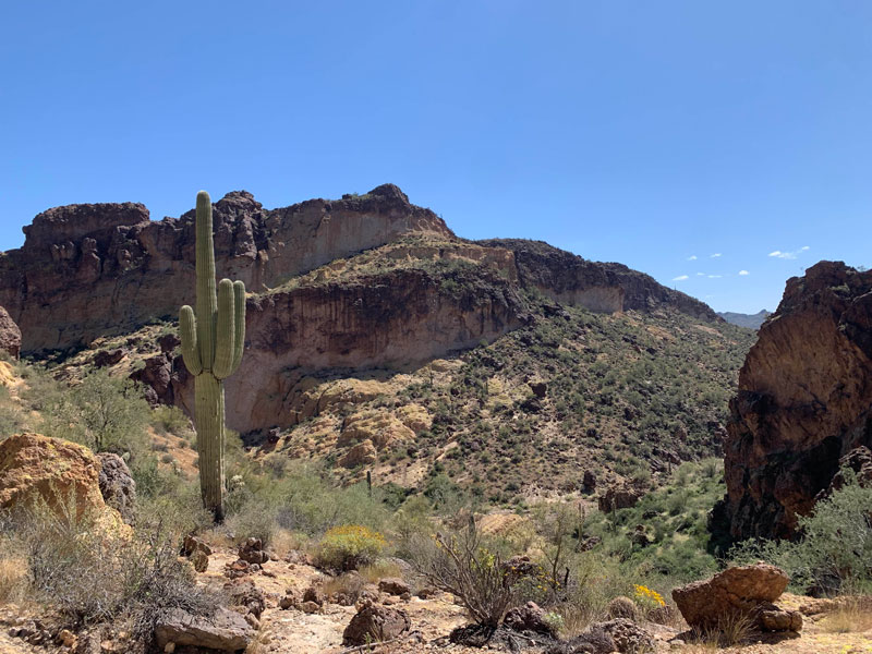 Scenery on Triple Arches Trail