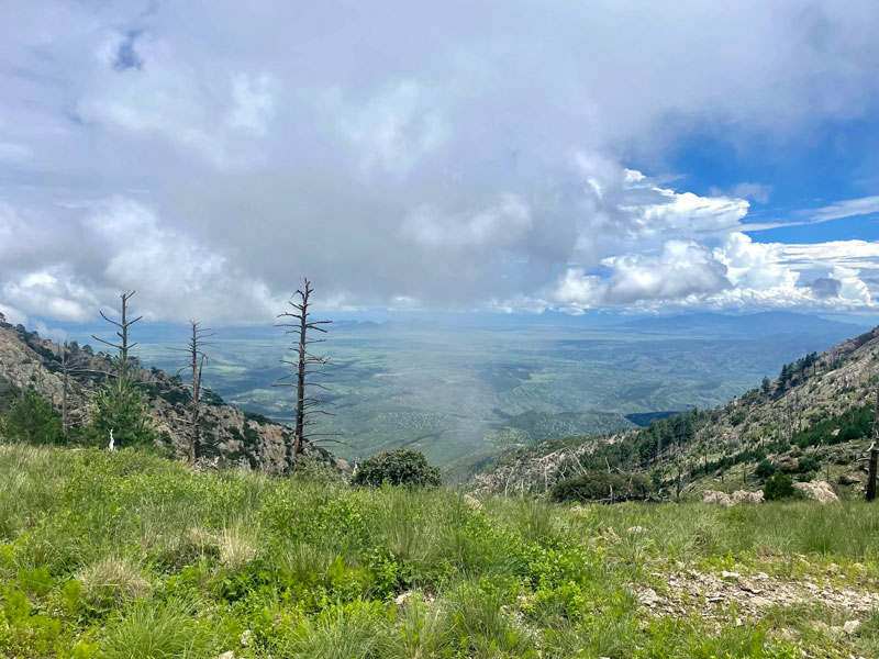 View from the Old Baldy Saddle on Mount Wrightson