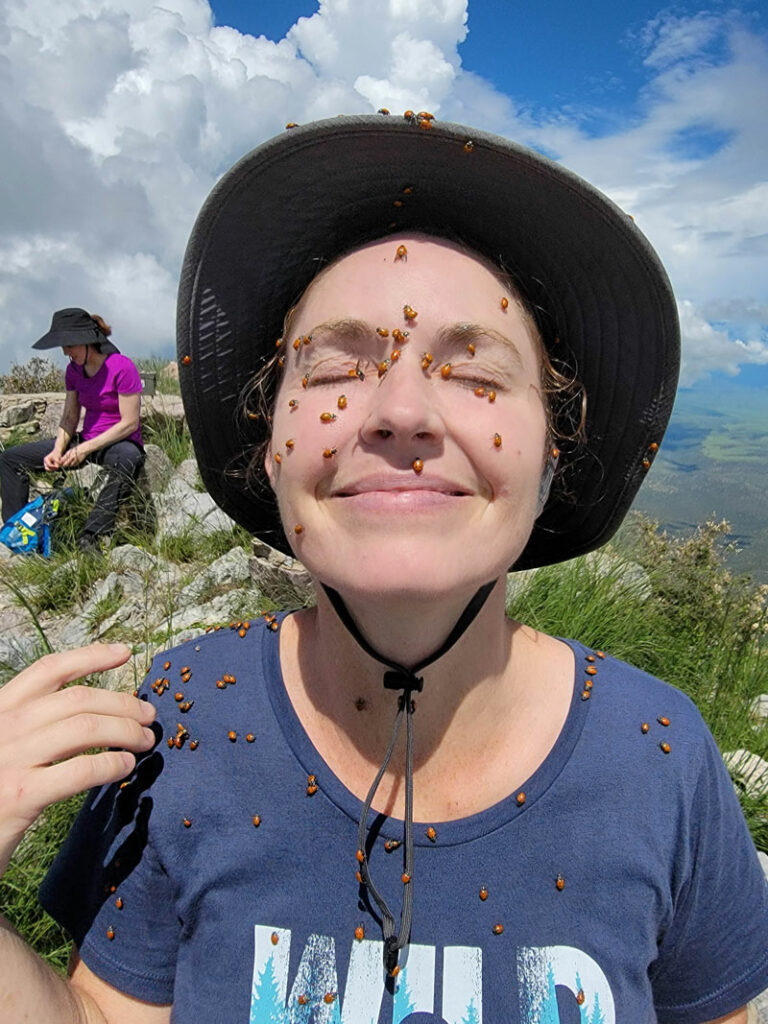 Ladybugs on the face of a person on Mount Wrightson