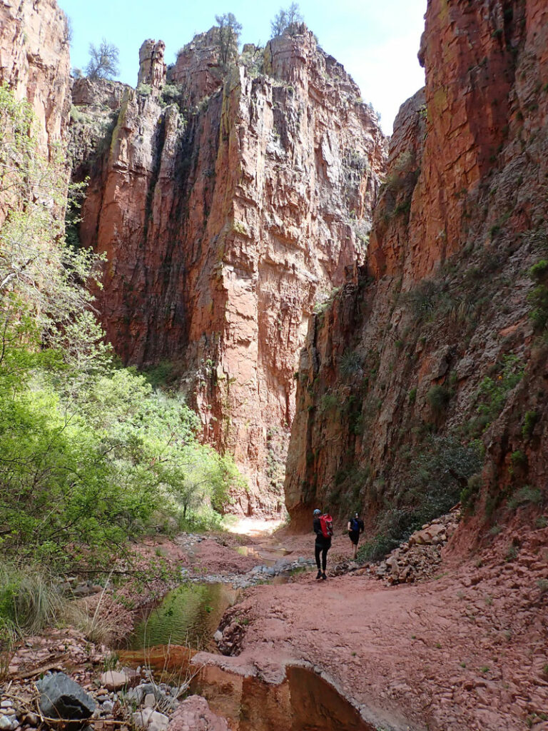 Scenery in Parker Canyon