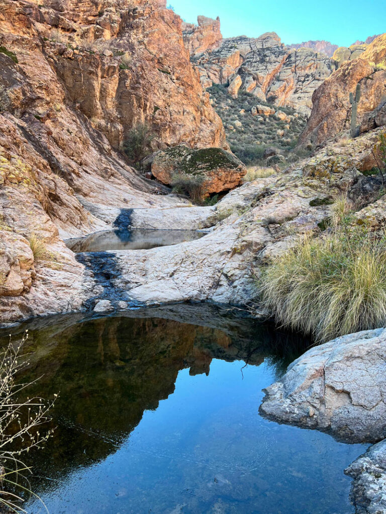 Pools of water in Rhyodacite Canyon
