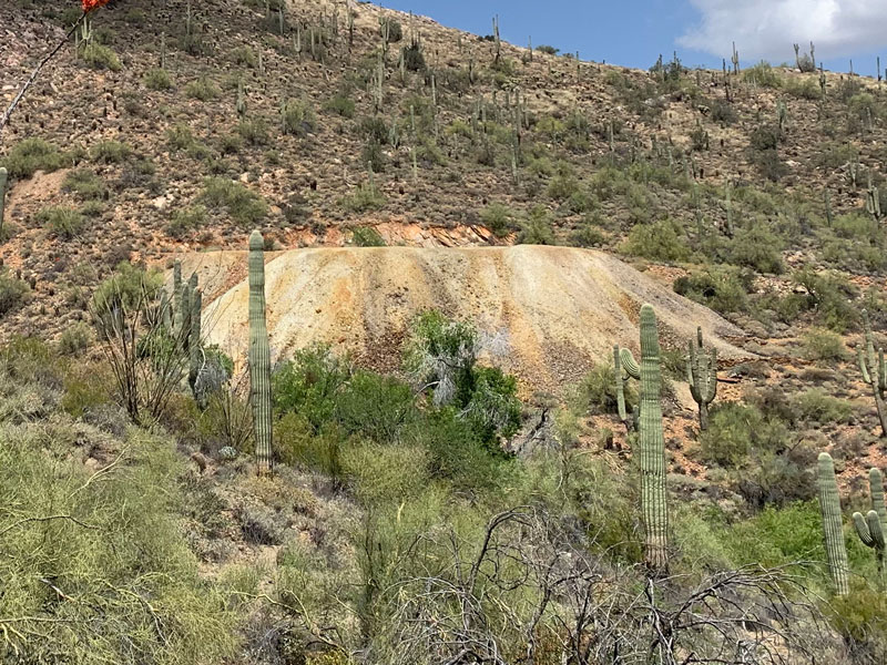 Dixie Mine in the McDowell Mountain Park