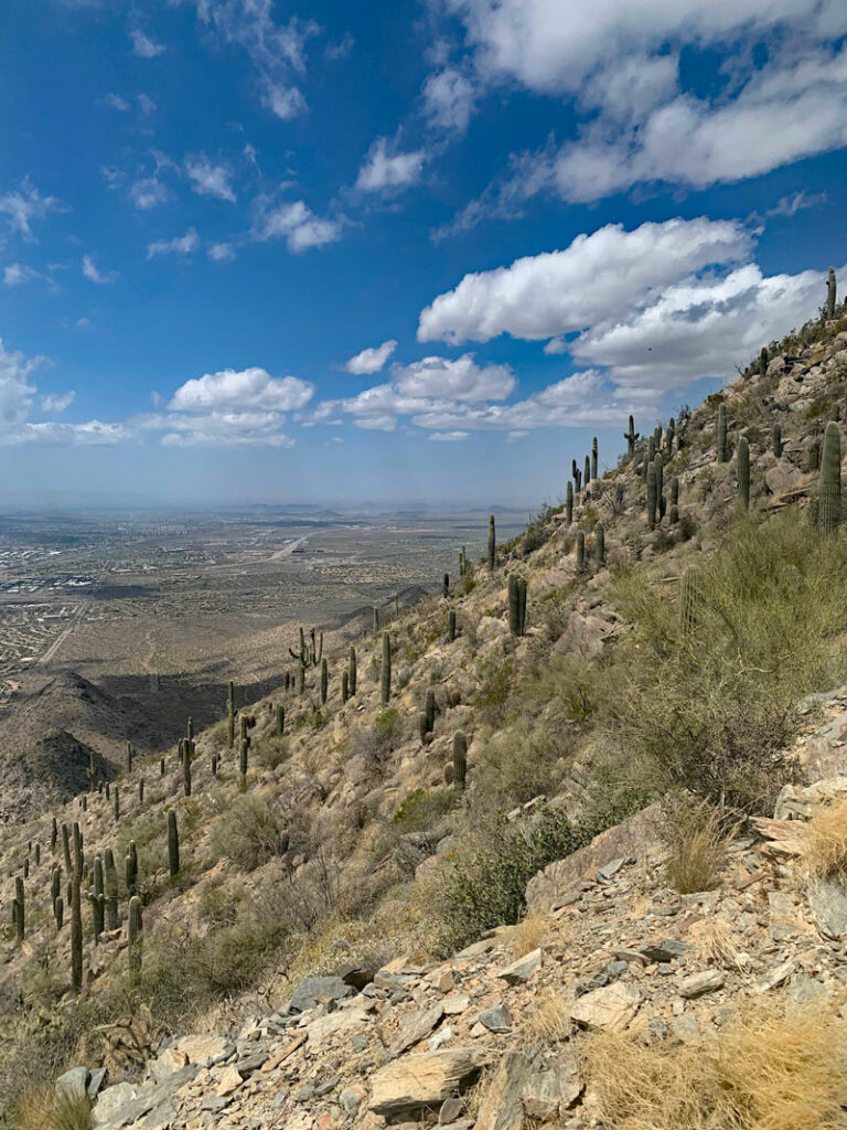 Steep slope of Thompson Peak