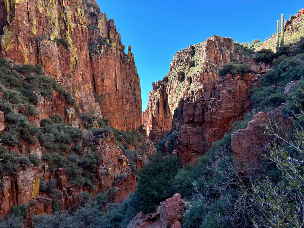 Hog Canyon in the Sierra Anchas in Arizona