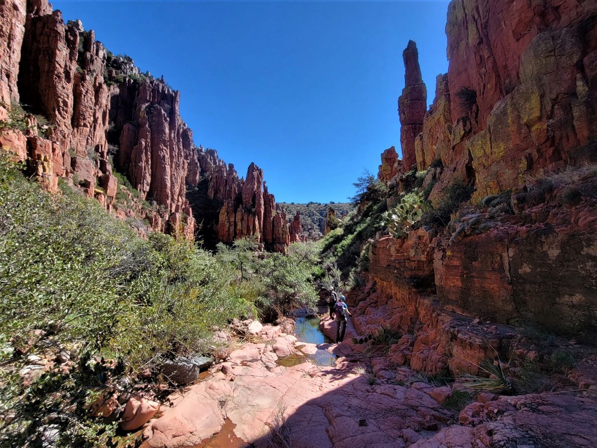 Phog Canyon in the Sierra Ancha Wilderness