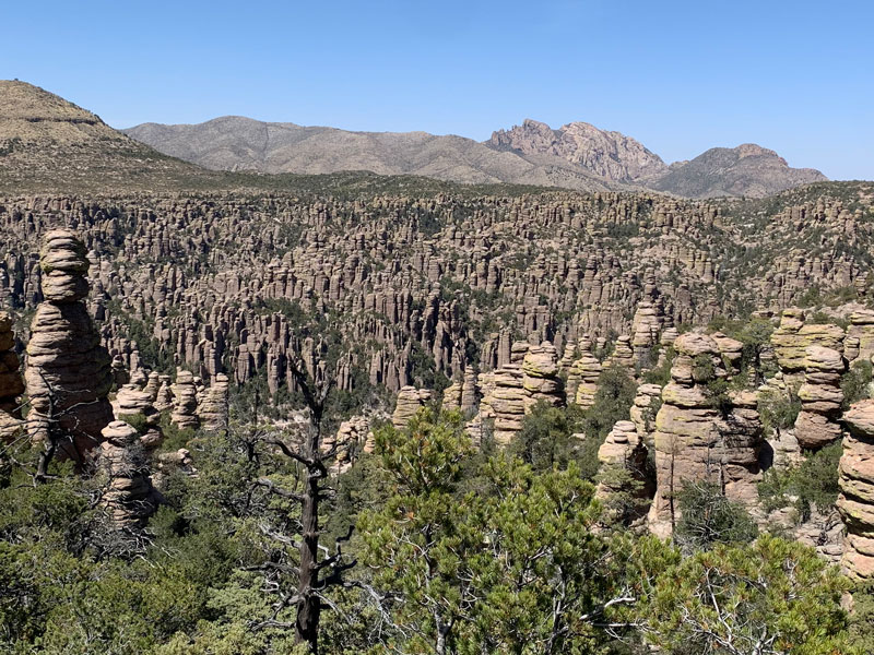 Hoodoos of Chiricahua National Monument