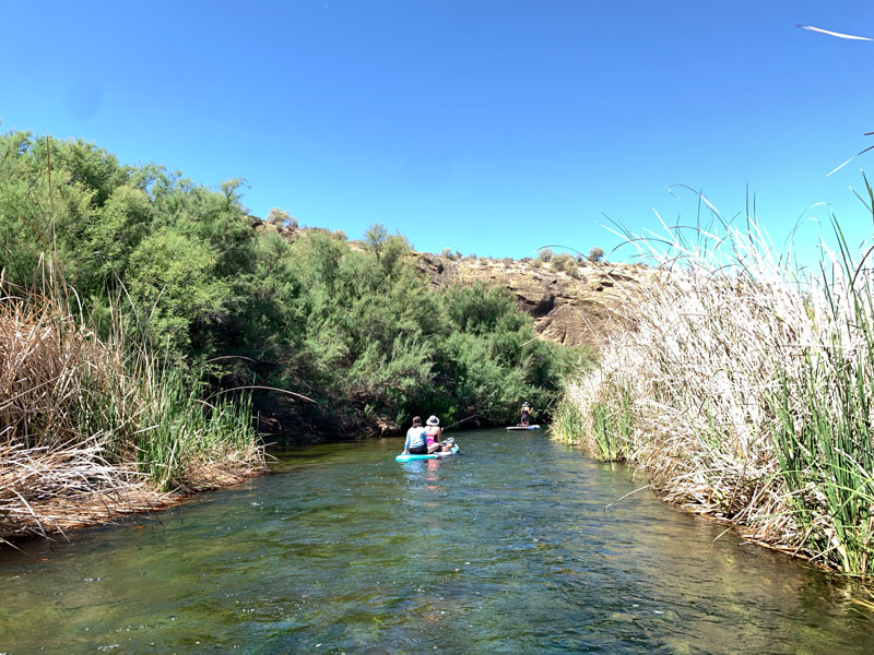 Paddleboarders