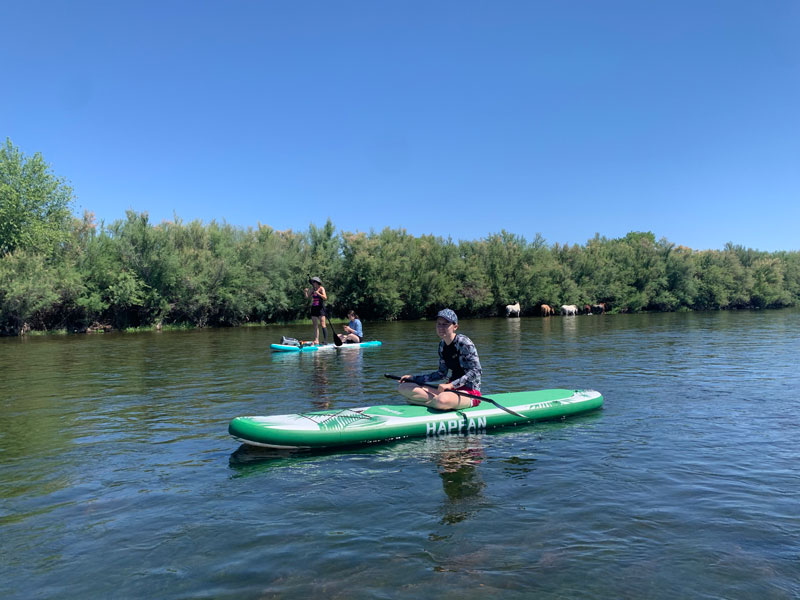 Paddleboarders