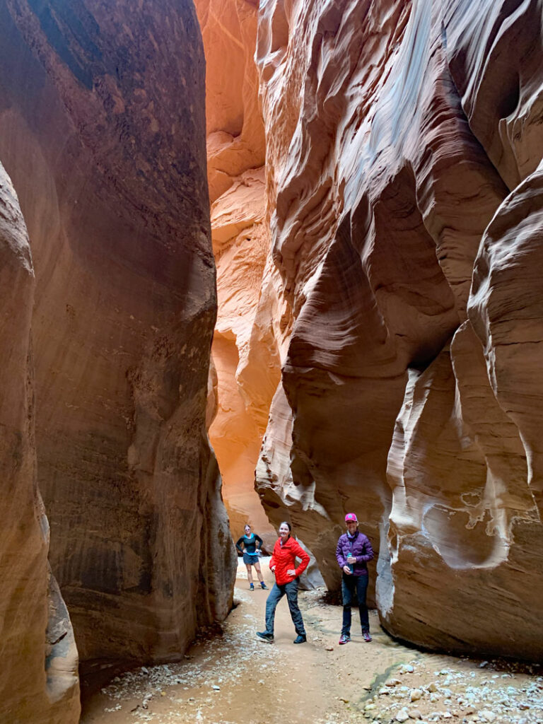 are dogs allowed in paria canyon