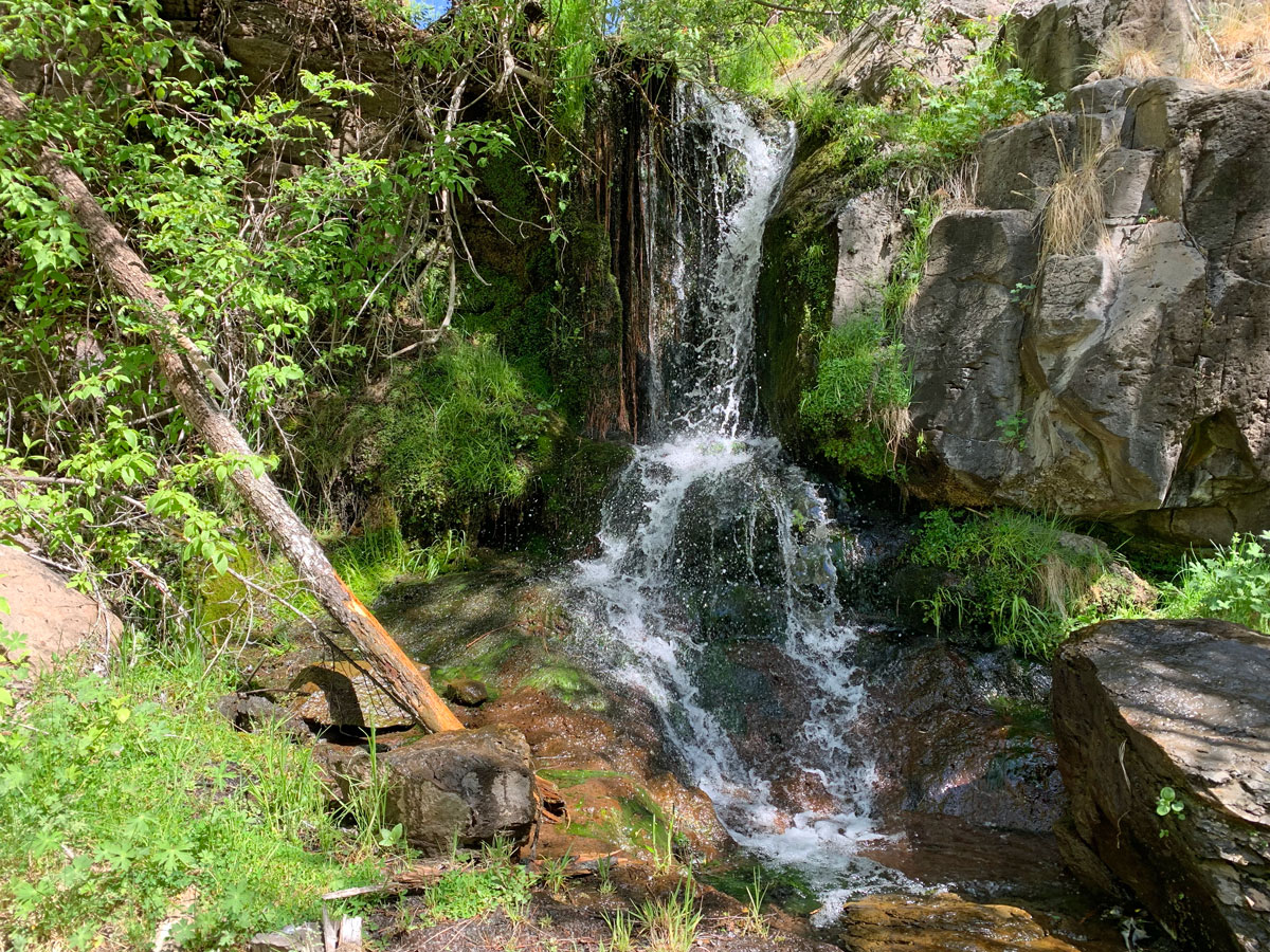 Upper Grant KP Creek Loop