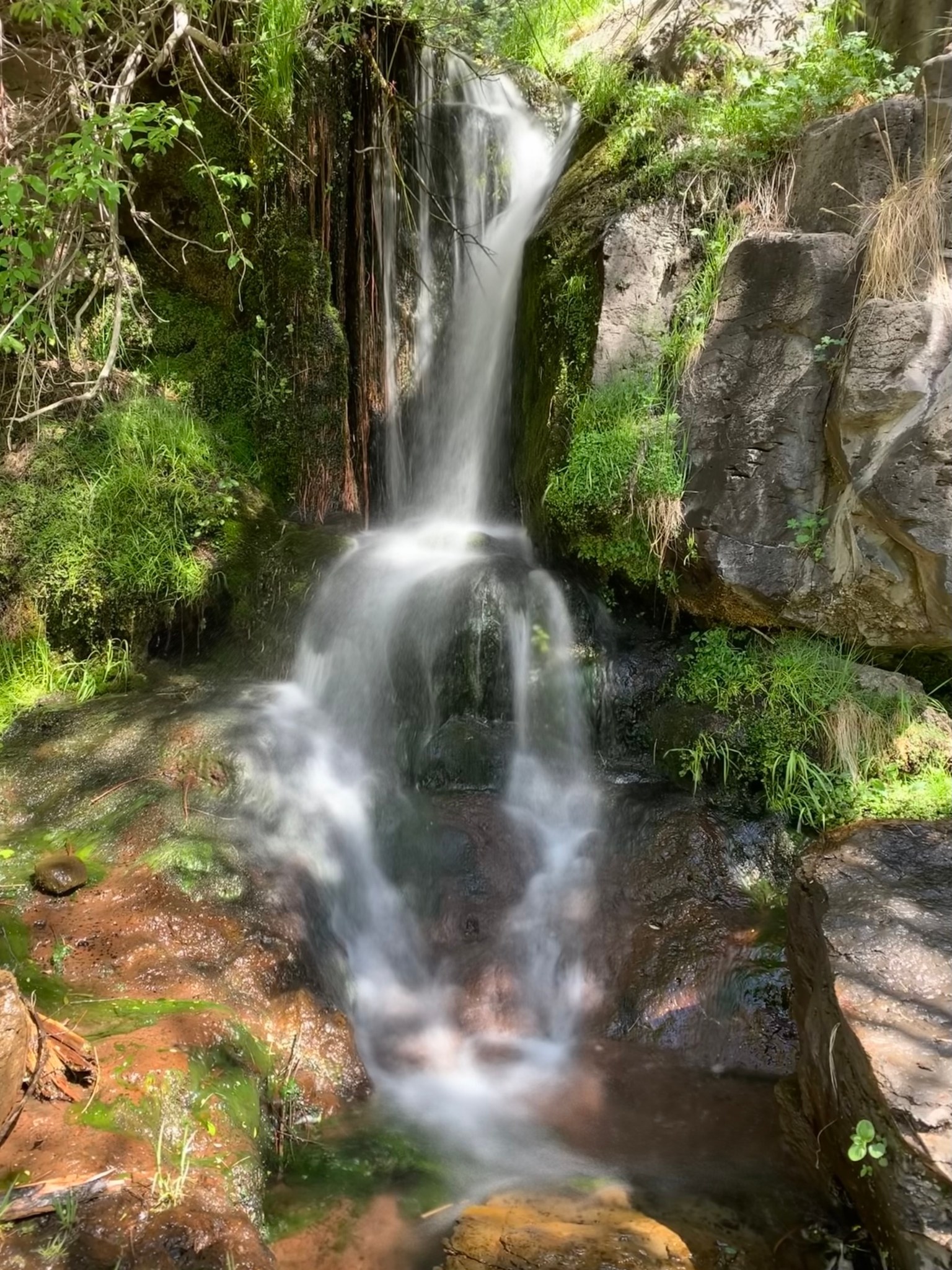 Hike KP Creek Loop for waterfalls and impossibly tall trees WildPathsAZ