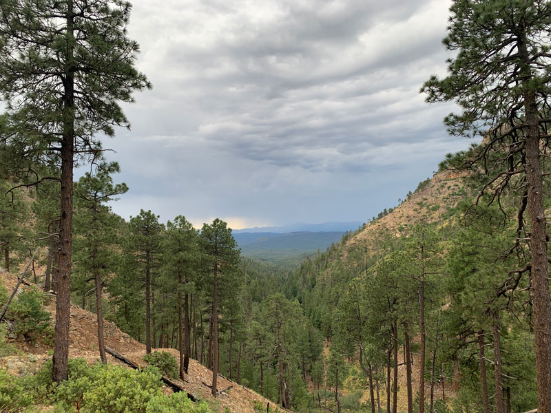 Views along the Arizona Trail No. 390