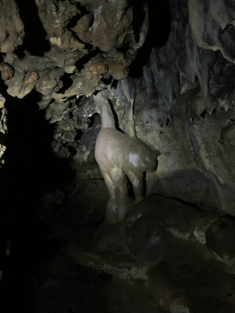 Black cat formation in Pivot Spring Cave