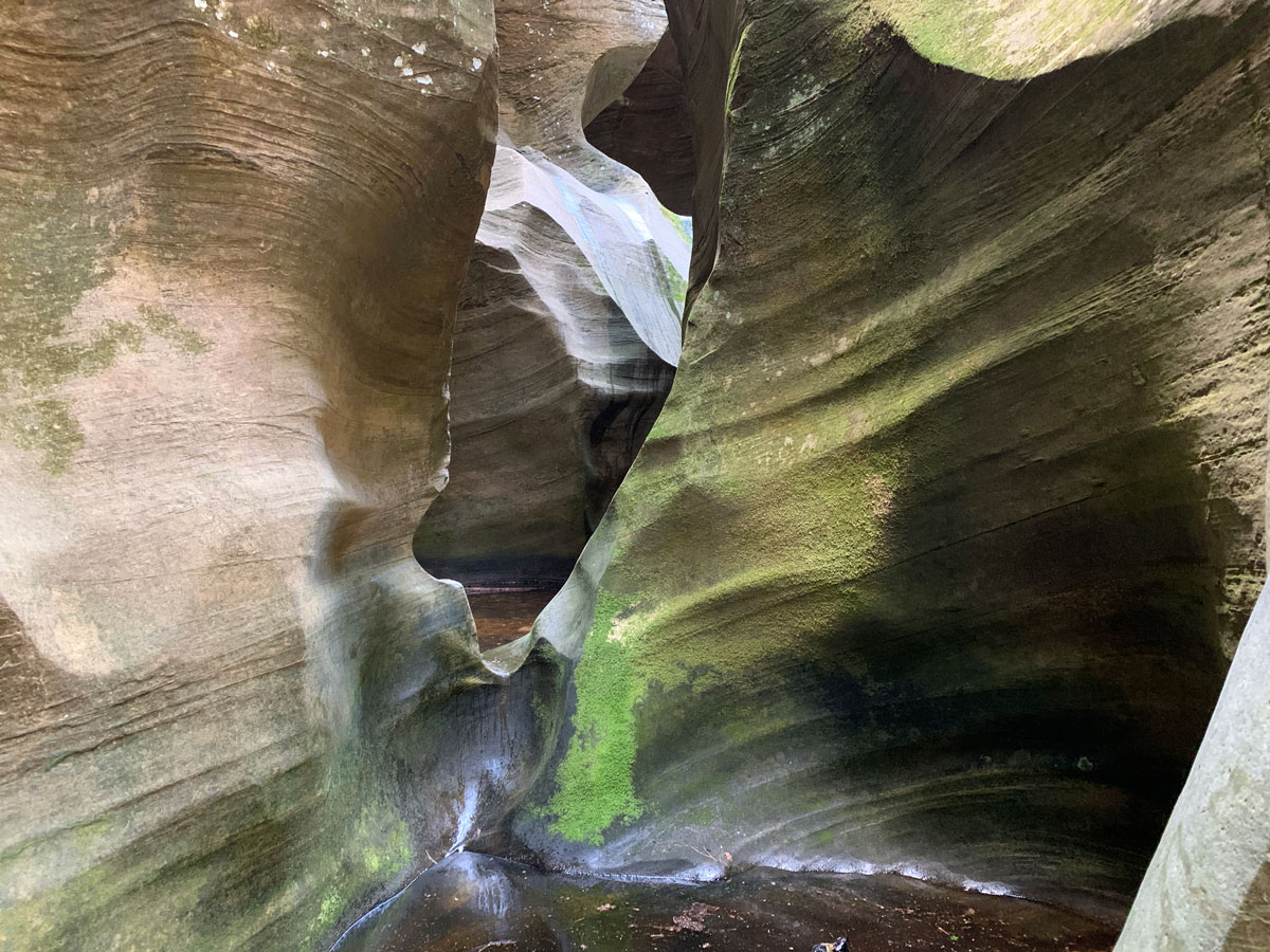 Bear Canyon West Clear Creek Arizona