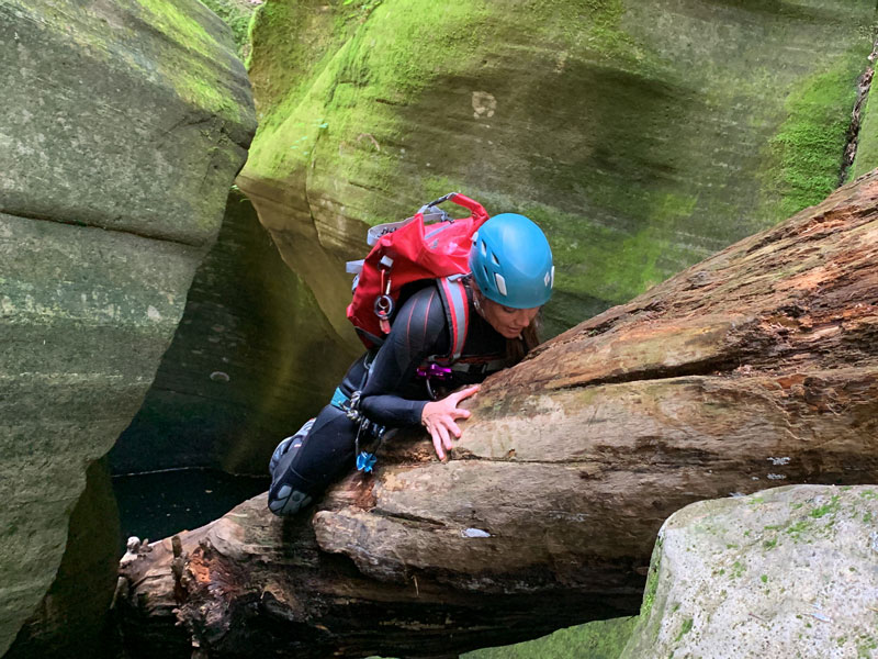 Log slide in Bear Canyon