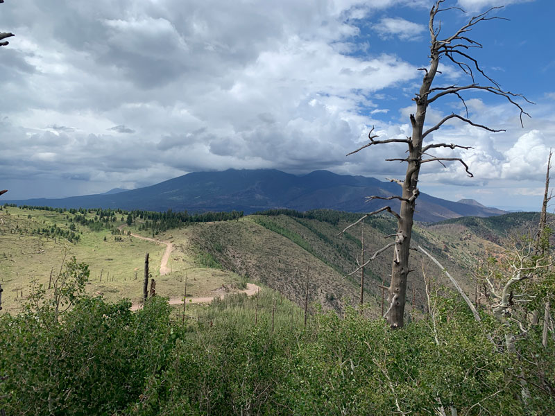 View from Elden Lookout