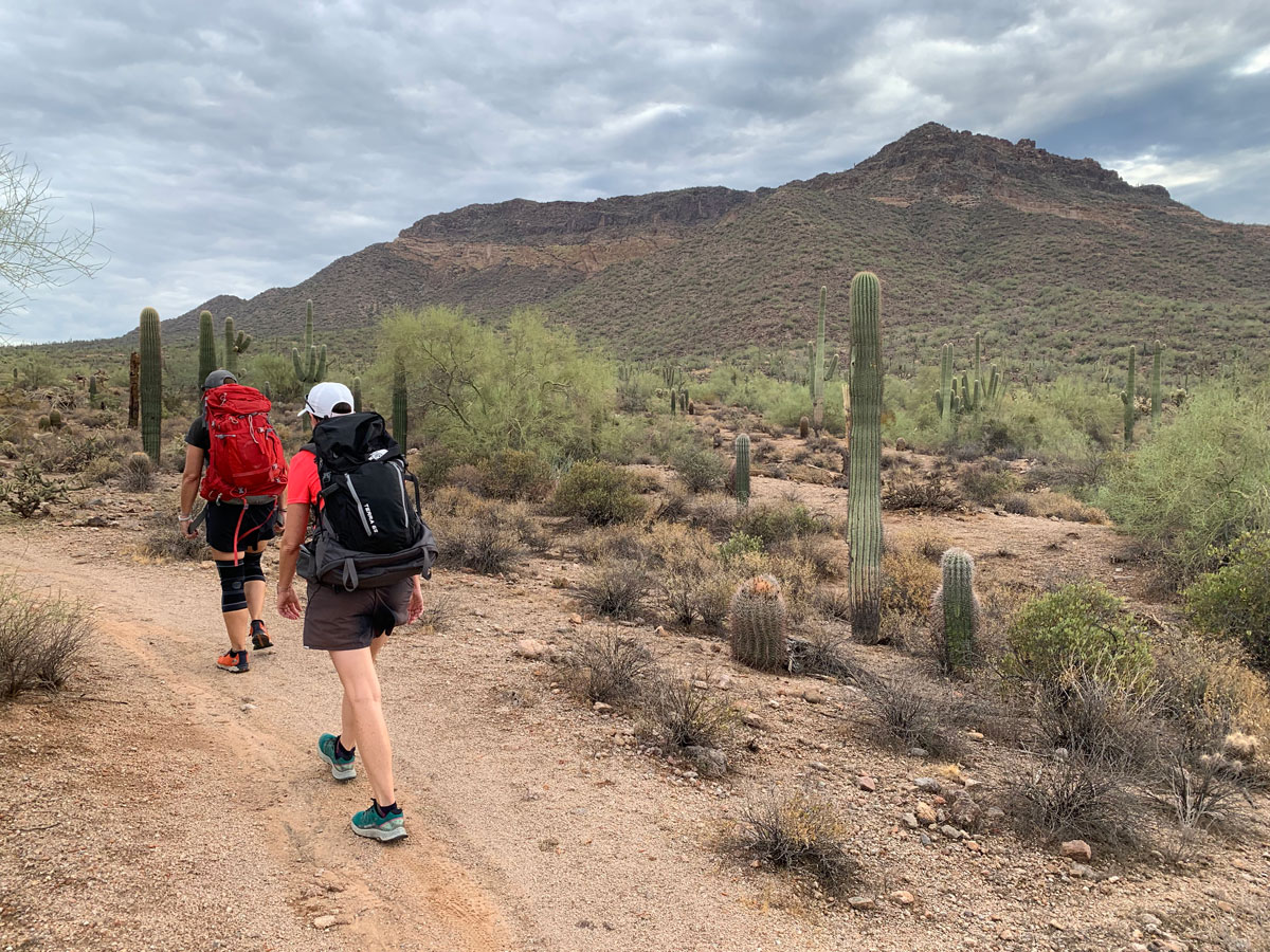 Pass Mountain Loop near Usery Mountain Park Arizona