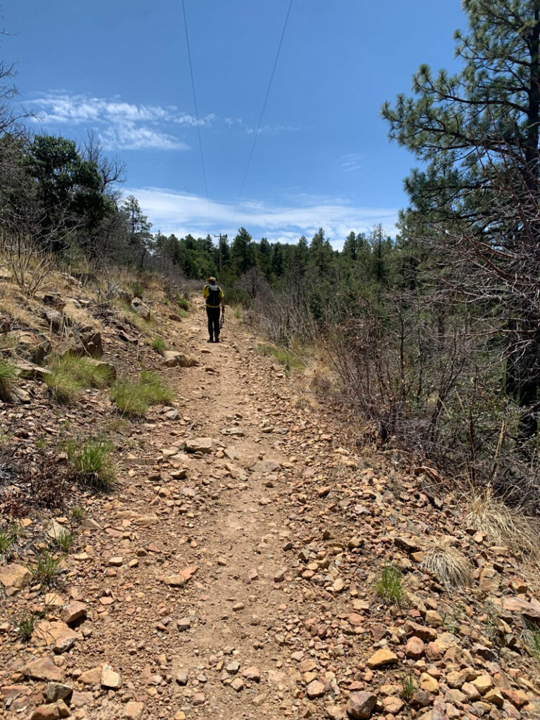 Sunny part of Groom Creek Trail