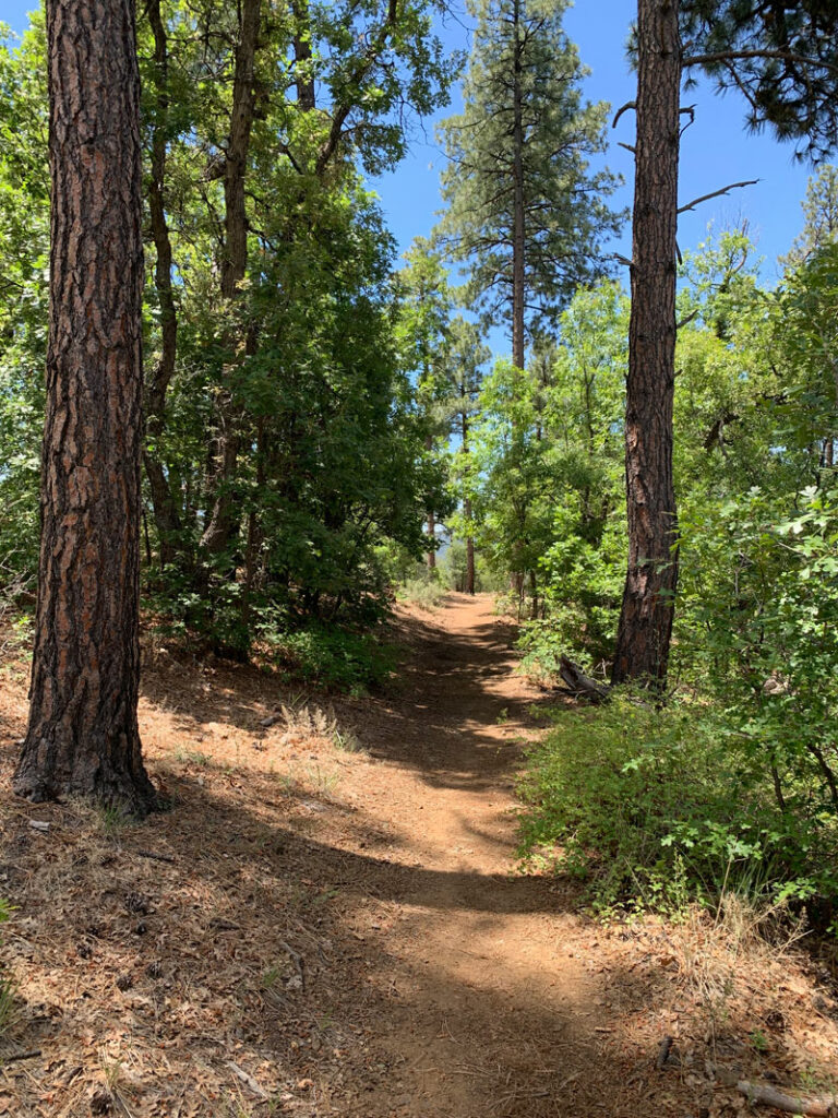 Groom Creek Trail 307 Prescott