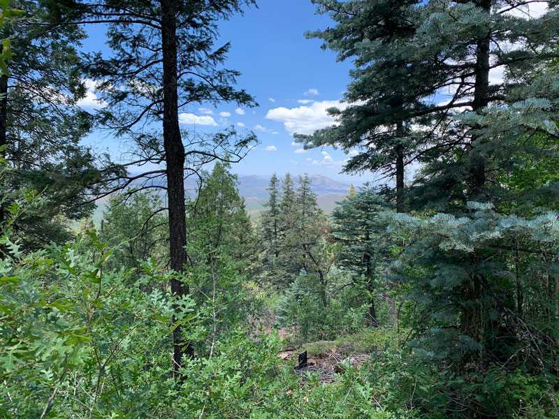 Views along Groom Creek Trail in Prescott