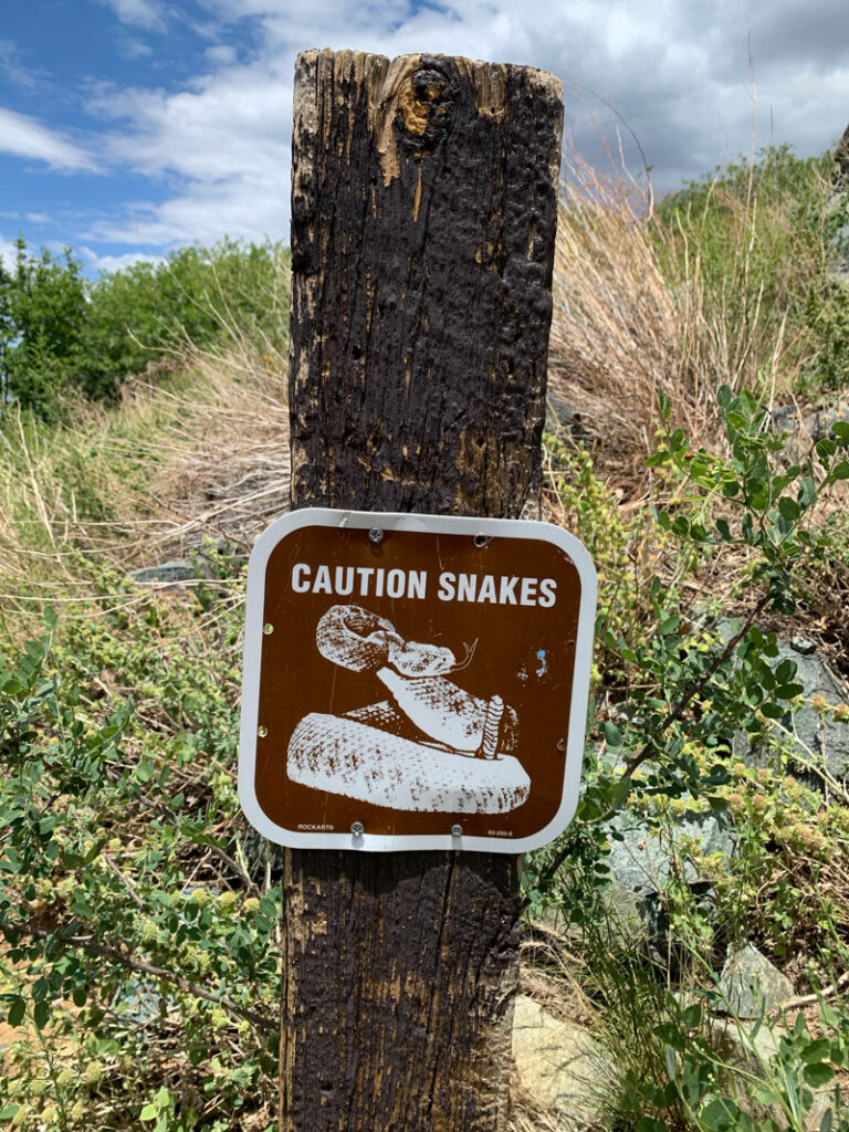 Caution snakes sign near Spruce Mountain summit  near Prescott