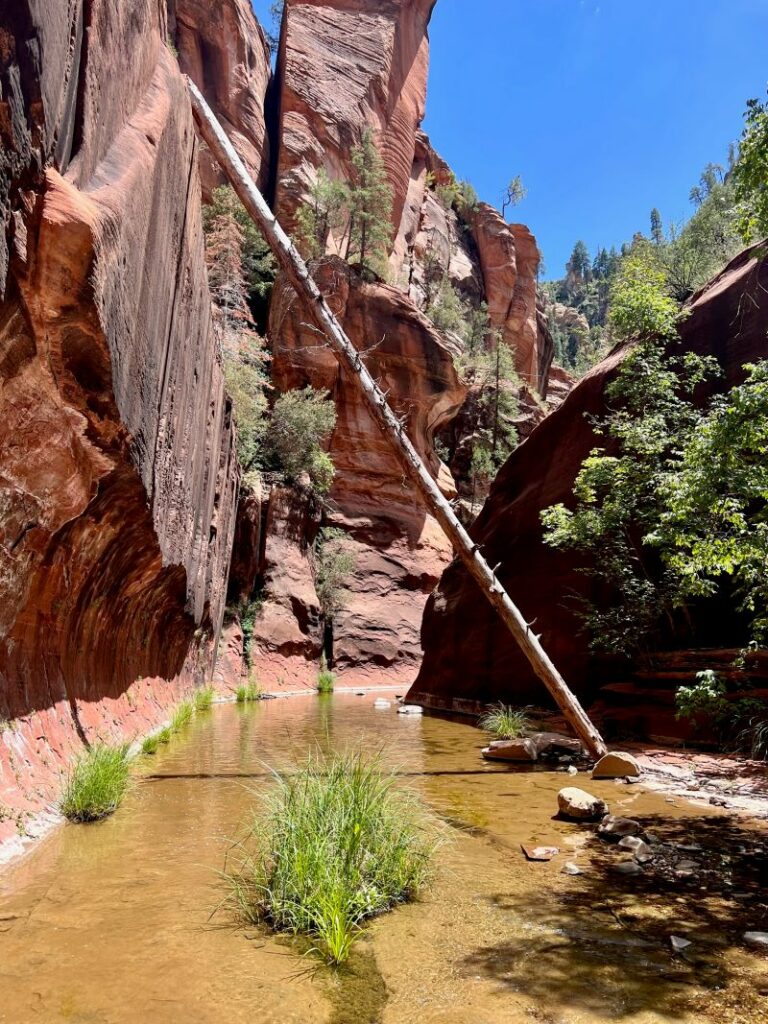 Beautiful West Fork of Oak Creek