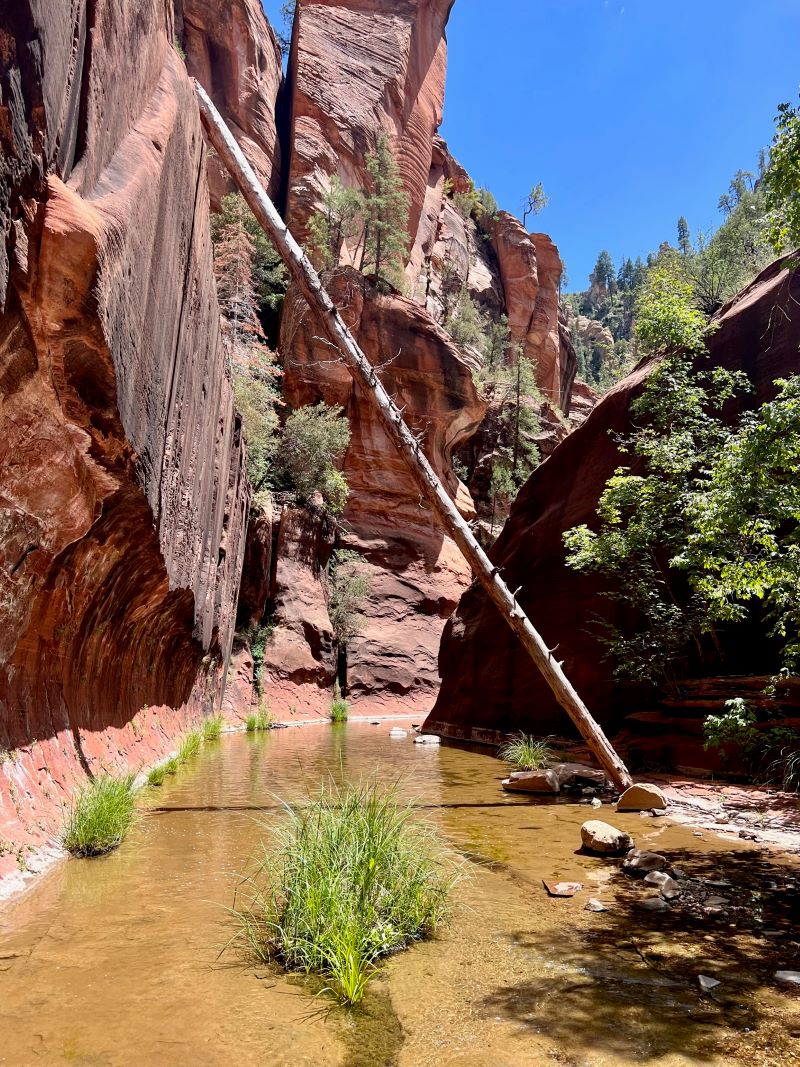 Hike West Fork Trail Backpacking Route - WildPathsAZ