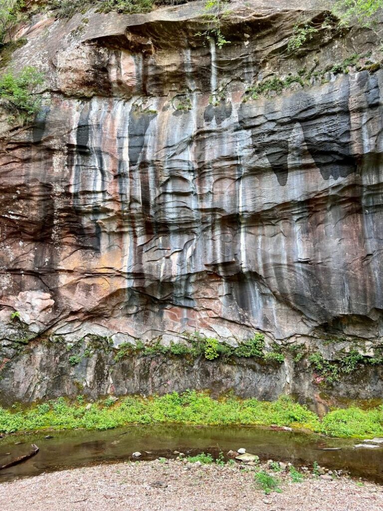 Canyon walls with hanging gardens