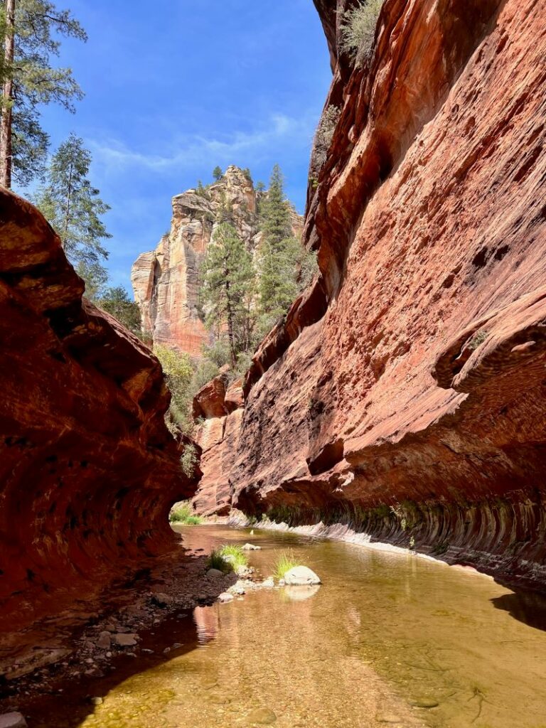 West Fork of Oak creek narrows