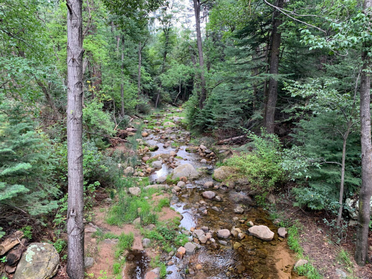 Hike Pine Canyon and see the tiniest cave WildPathsAZ