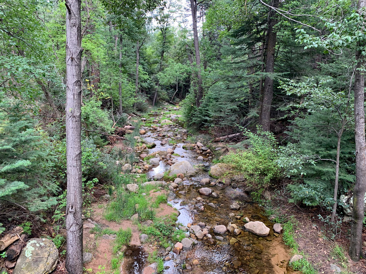 Pine Canyon Arizona