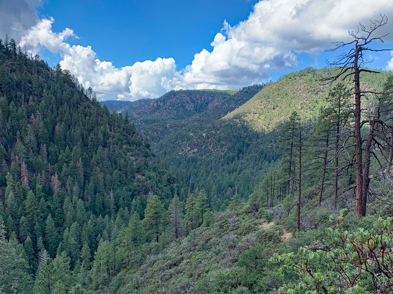 View from the rim on Pine Canyon Trail