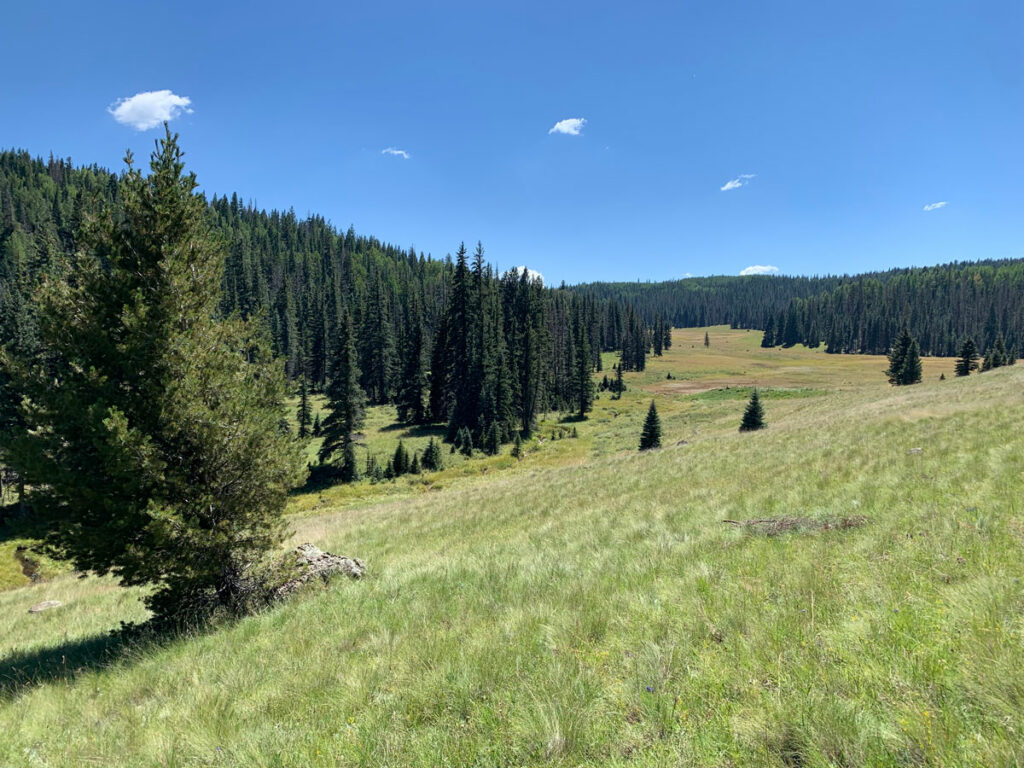 Mount Baldy Loop Arizona