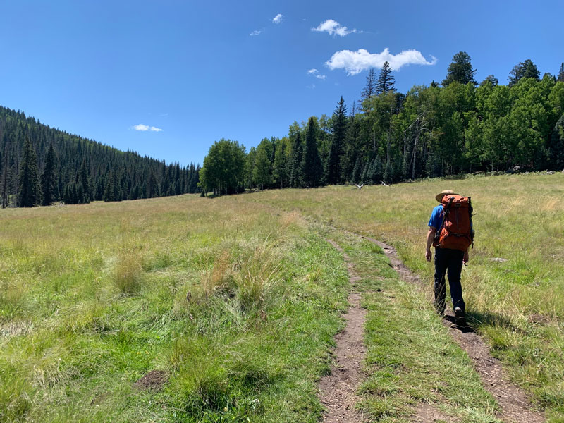 Hike Mount Baldy Loop for its meadows (and views) - WildPathsAZ