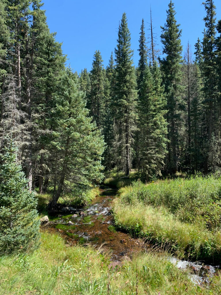 Hike Mount Baldy Loop for its meadows (and views) - WildPathsAZ