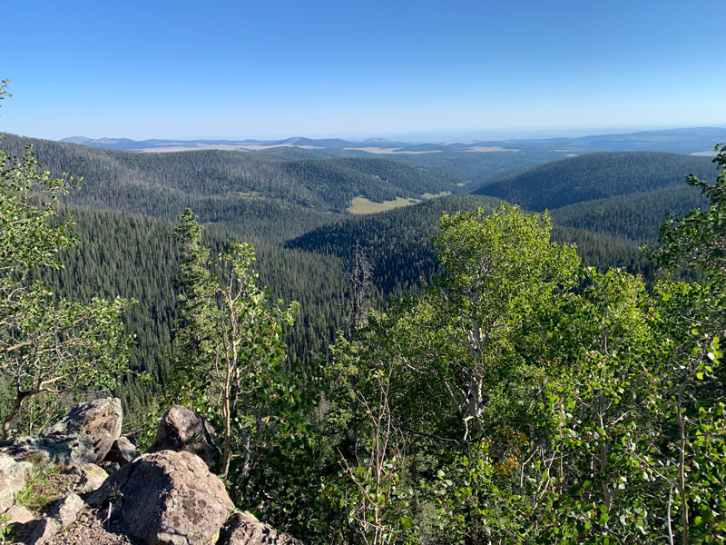 Hike Mount Baldy Loop for its meadows (and views) - WildPathsAZ