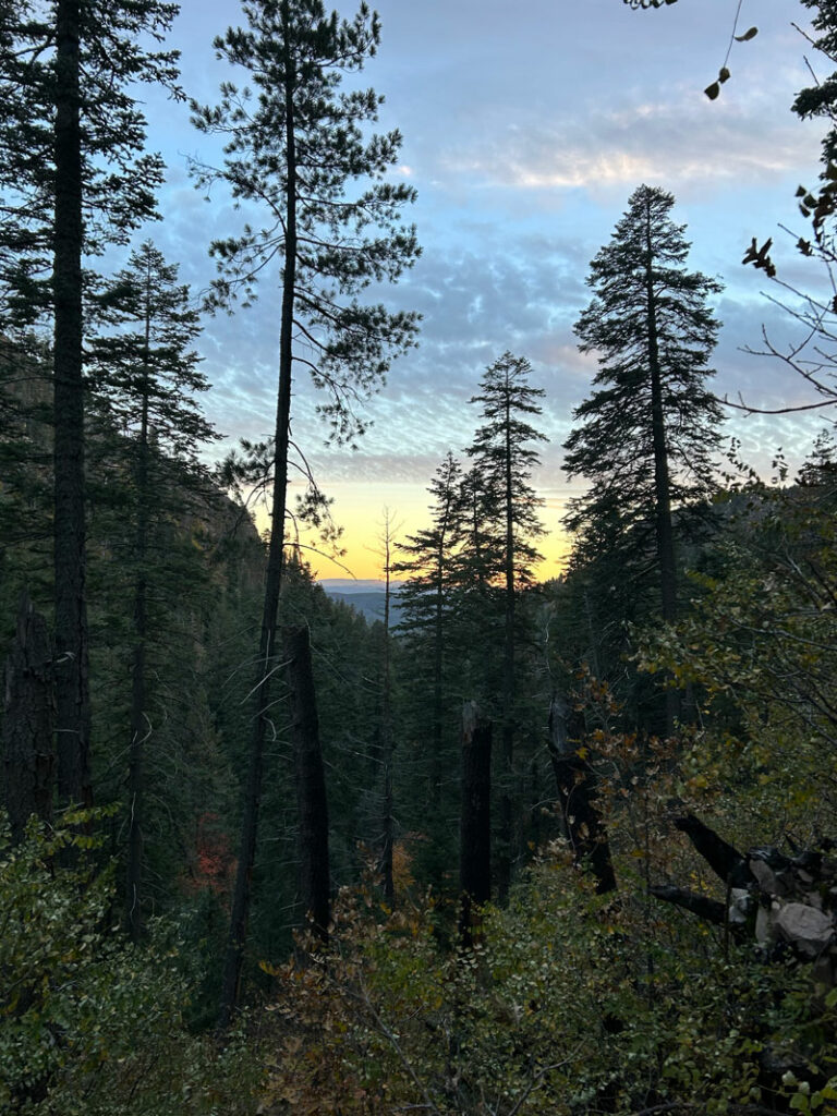 View from See Canyon Trail