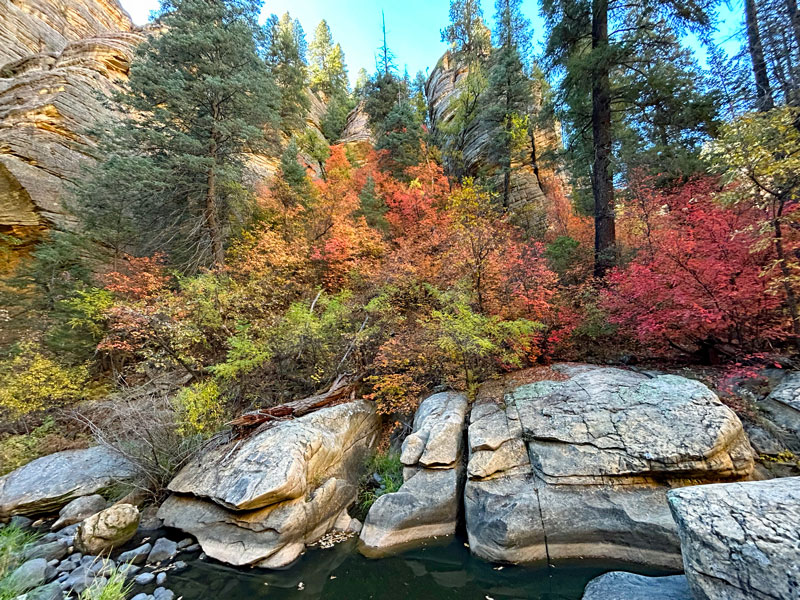 Pumphouse Wash, Arizona, in the fall