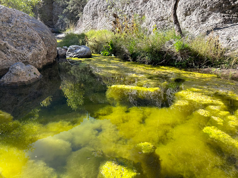 Booger Canyon Aravaipa Wilderness Arizona