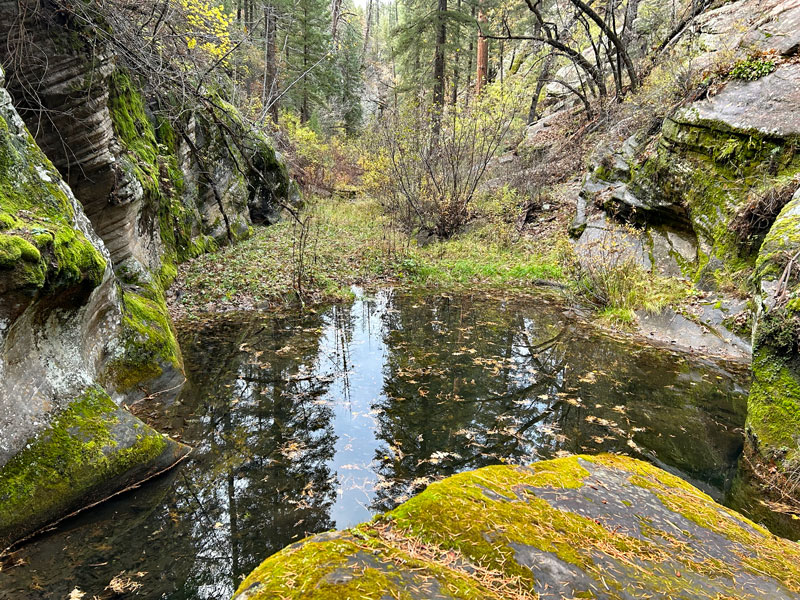 Pool of water in Clover Creek Canyon