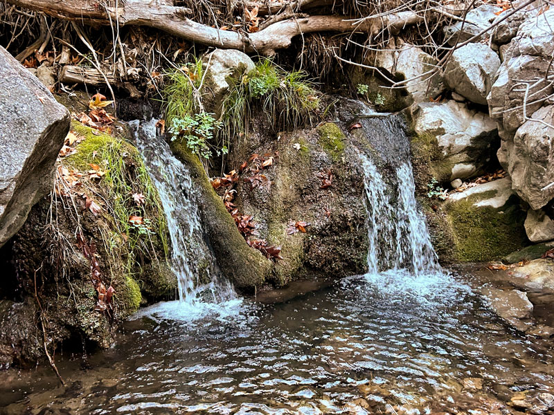 Hamburg Creek