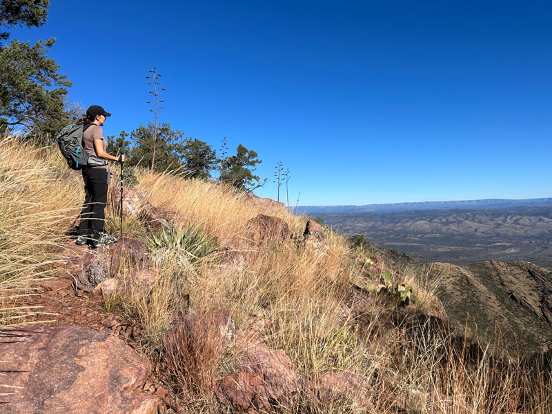 Views on Barnhardt Trail