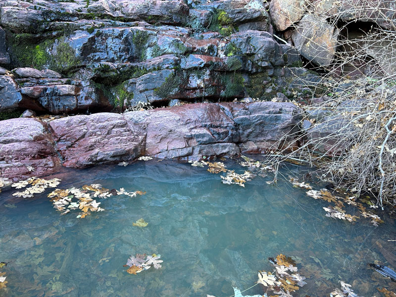 Pool of water on Barnhardt Trail