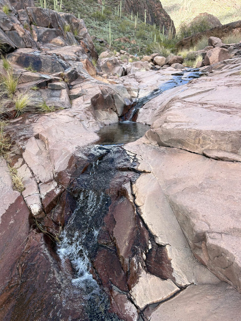 Hike Hieroglyphic Trail petroglyphs and waterfalls WildPathsAZ