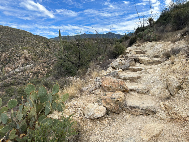 Douglas Springs Trail to Bridal Wreath Falls